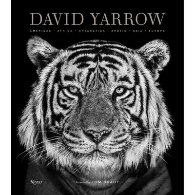【预售】David Yarrow Photography: Americas Africa Antarctica Arctic Asia Europe 动物摄影师 大卫亚罗作品集 英文原版 正版