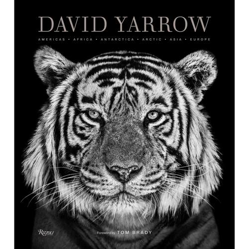 大卫亚罗摄影集 David Y