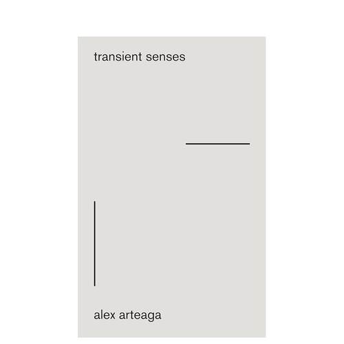 短暂的感觉 Transient