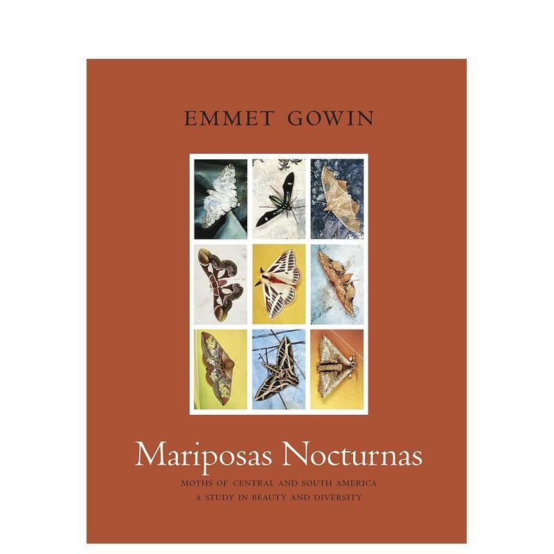 夜蝶：中美洲和南美洲的飞蛾 关