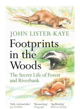 【预售】森林里的脚印:森林和河岸的秘密 Footprints in the Woods 英文进口原版John Lister-Kaye