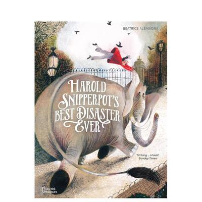 【现货】【意大利插画师Beatrice Alemagna】哈罗德遇见的灾难（平装）Harold Snipperpots Best Disaster Ever 英文绘本3-6岁 外