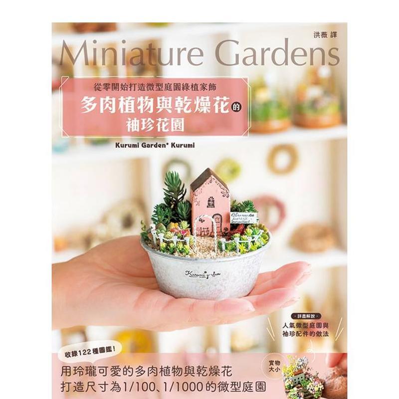 多肉植物与干燥花的袖珍花园：从