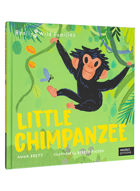 【现货】小黑猩猩：黑猩猩宝宝的一天 Little Chimpanzee: A Day in the Life of a Baby Chimp 原版英文儿童绘本
