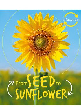 【预售】【生命周期】从种子到葵花【Lifecycles】Seed to Sunflower英文进口原版儿童绘本图书Camilla de la Bedoyere百科