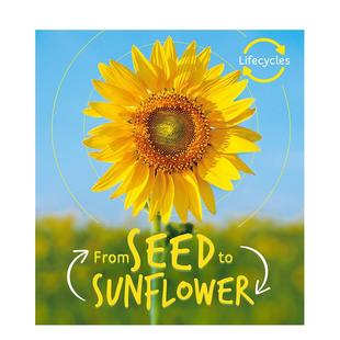 【预售】【生命周期】从种子到葵花【Lifecycles】Seed to Sunflower英文进口原版儿童绘本图书Camilla de la Bedoyere百科