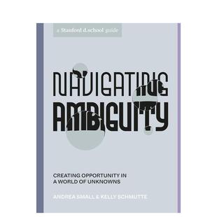 【预售】Navigating Ambiguity，驾驭不确定性Kelly Schmutte文进口外文原版商业行销图书Ten Speed Press