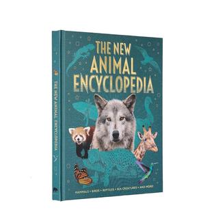 儿童图书青少年读物Claudia 预售 Animal Martin Lland The Meriel 新动物百科全书 Claire New Encyclopedia英文进口原版