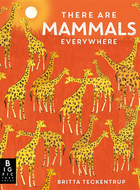 【现货】There are Mammals Everywhere，随处可见的哺乳类动物 英文原版图书籍进口正版 BrittaTeckentrup 儿童绘本-IP