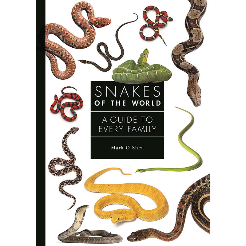 【预售】Snakes of the World: A Guide to Every Family,有关世界上蛇的指南 英文原版图书籍进口正版 Mark O’Shea 社会科学