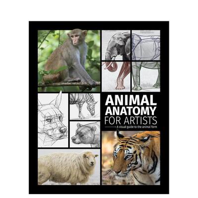 【预售】艺术家的动物解剖学：动物形态视觉指南 Animal Anatomy for Artists 英文进口原版艺术画册画集 3dtotal Publishing