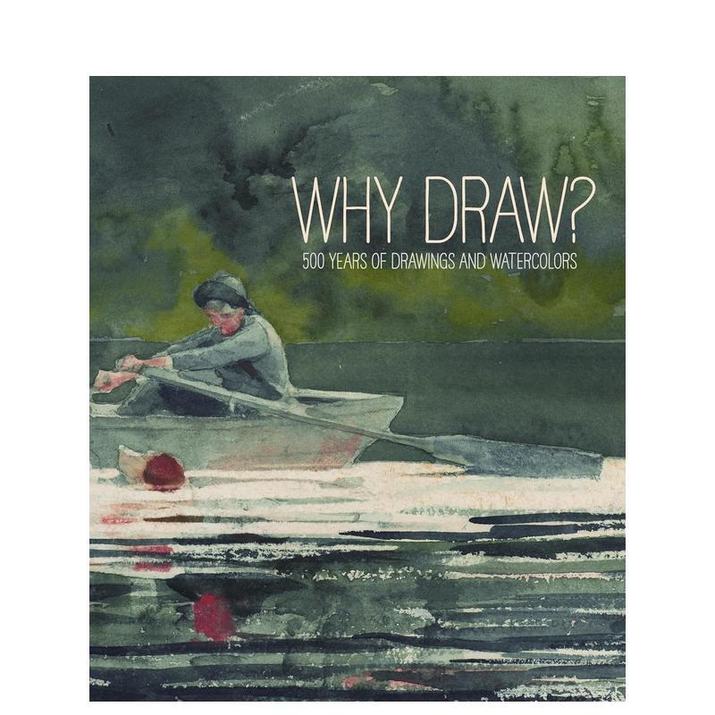 【现货】 Why Draw?为什么画画 从Bowdoin学院500年的绘画和水彩画英文原版艺术入门画册