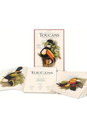 【现货】约翰.库德绘鸟作品集John Could The Family of Toucans英文进口原版艺术画册画集外文图书Jonathan Elphick