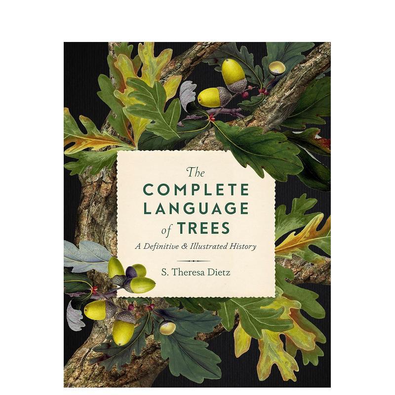 插画图解百科全书：树木 【Th