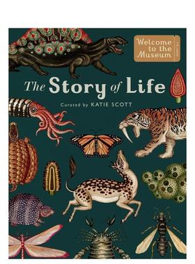 【现货】生命的故事：进化The Story of Life: Evolution英文进口原版儿童绘本图书Katie Scott Ruth Symons百科