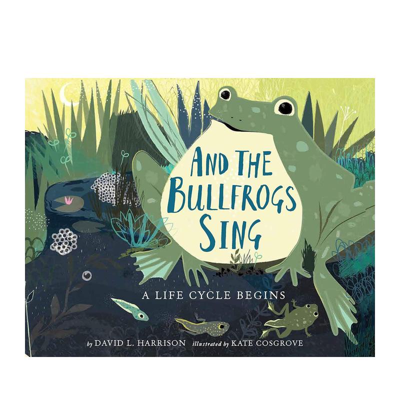 牛蛙的歌声：一个生命循环的开始