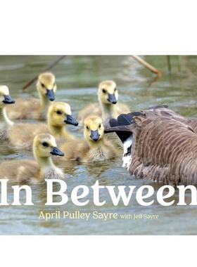 【现货】之间 In Between 进口原版英文儿童绘本3岁-6岁SAYRE  APRIL PULLEY外文正版图书