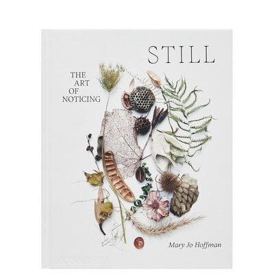 【预售】静谧：观察的艺术 STILL: The Art of Noticing 英文进口原版艺术画册画集正版图书籍Mary Jo Hoffman