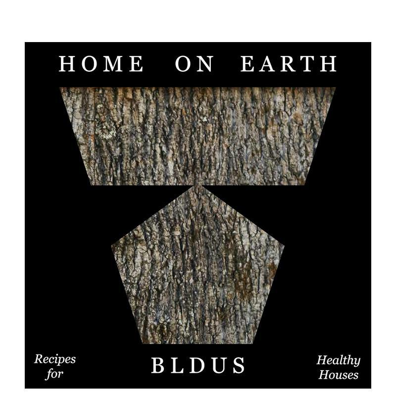 【预售】地球家园:健康住宅的秘诀 Home on Earth:Recipes for Healthy Houses 英文进口原版建筑设计图书Andrew Linn
