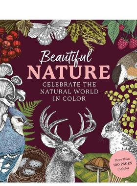 【预售】美丽的大自然涂色书 Beautiful Nature Coloring Book 英文进口原版生活图书Editors of Chartwell Books