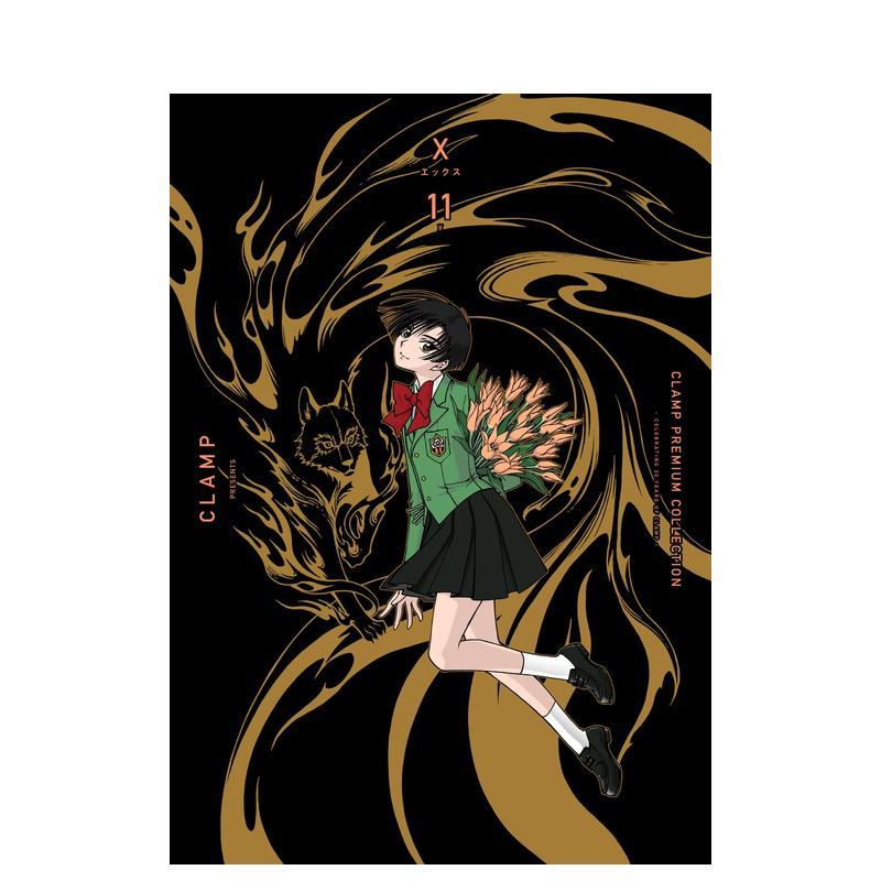 CLAMP豪华选集 X战记 1