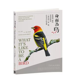 【预售】身而为鸟：从飞翔、筑巢、觅食到鸣唱，了解鸟的一举一动，以及其中的道理  港台中文繁体科普图书籍 大卫．希伯利 读书国