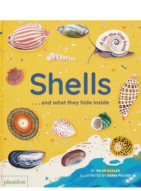 【现货】【翻翻书】贝壳跟你说什么 Shells... and 现货at they hide inside 英文进口原版儿童趣味