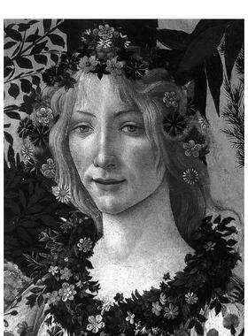 【现货】画家：波提切利 【Classic Art】Botticelli 英文进口原版艺术画册画集Phaidon Press外文图书