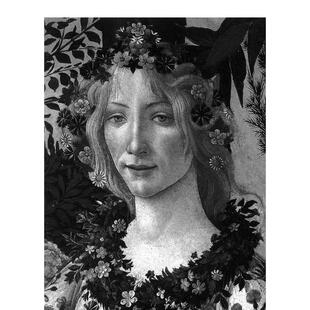Classic Art Botticelli 艺术画册画集Phaidon 画家：波提切利 英文进口原版 Press外文图书 现货