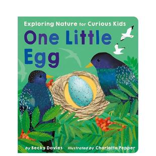 Egg英文进口原版 Pepper百科 小小知识 Charlotte Davies; 儿童绘本图书Becky Little One 蛋 预售