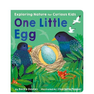【预售】【小小知识】蛋【One Little】 Egg英文进口原版儿童绘本图书Becky Davies; Charlotte Pepper百科