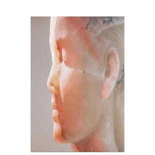 【预售】豪梅·普兰萨：内在之物 Jaume Plensa: Inner Matter / Materia Interior 英文进口原版摄影作品集正版图书籍Jaume Plen