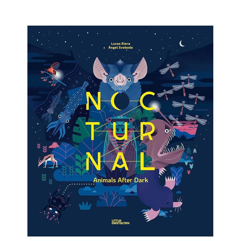 夜行动物 Nocturnal 英文儿童绘本