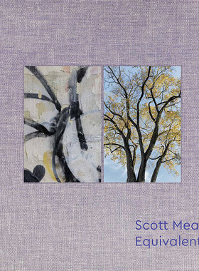【现货】Equivalents: Scott Mead，等价物：斯科特·米德 英文原版图书籍进口正版 Scott Mead 摄影-摄影师专辑