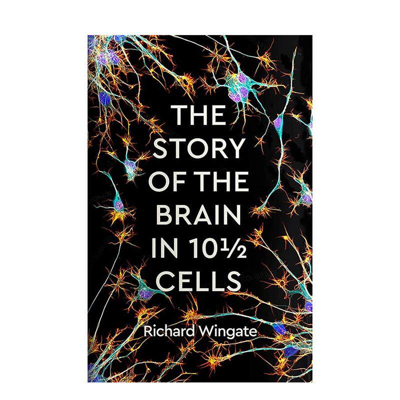 10 1/2 个细胞中大脑的故