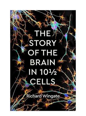 【预售】10? 个细胞中大脑的故事 The Story of the Brain in 10? Cells 英文原版图书籍进口正版 Richard Wingate 社会科学