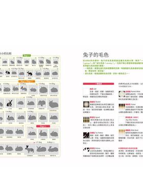 【预售】兔子品种超图鉴：从体型、毛色到毛质，完整收录ARBA公认的51品种信息  港台原版中文繁体生活图书 町田修   东贩