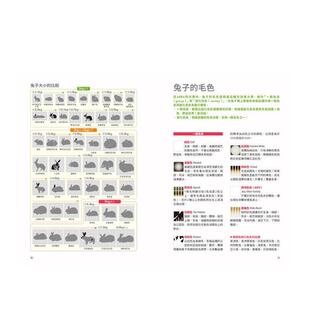 【预售】兔子品种超图鉴：从体型、毛色到毛质，完整收录ARBA公认的51品种信息  港台原版中文繁体生活图书 町田修   东贩