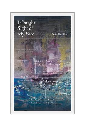 【预售】我瞥见了自己的脸 I Caught Sight of My Face 英文进口原版诗歌图书 Petr Hru?ka外文正版