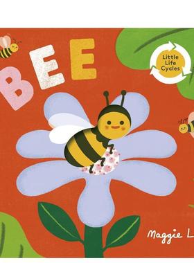 【预售】【小小生命周期】蜜蜂Little Life Cycles: Bee 英文进口原版儿童绘本图书 3-6岁 Templar Publishing 动物生态环保