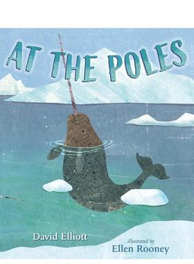 【预售】在两极 At The Poles 进口原版英文儿童绘本3岁-6岁David Elliott外文正版图书