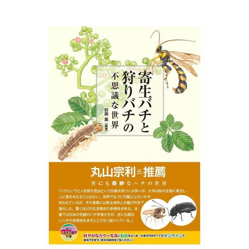 【预售】寄生蜂与狩猎蜂的奇异世界 寄生バチと狩りバチの不思议な世界 日文进口原版艺术图书 前藤薰 一色出版