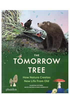 【现货】明日之树：大自然如何从旧树中创造新生命 The Tomorrow Tree 英文进口原版儿童百科绘本图书 生态系统科普读物Maciej Mi