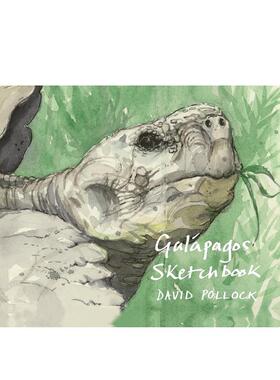 【预售】加拉帕戈斯速写本 Galápagos Sketchbook 英文进口原版艺术画册画集外文图书 David Pollock