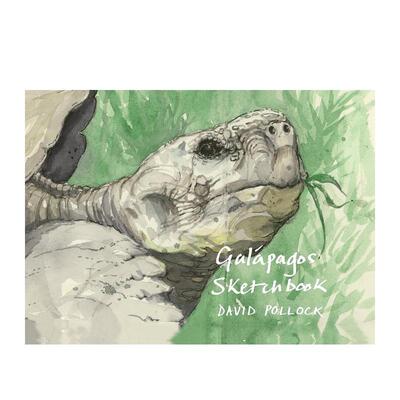 【预售】加拉帕戈斯速写本 Galápagos Sketchbook 英文进口原版艺术画册画集外文图书 David Pollock