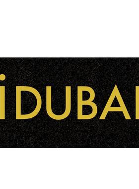 【现货】乔·斯坦菲尔德：迪拜Joel Sternfeld: ¡Dubai英文原版摄影集 外版进口图书Steidl