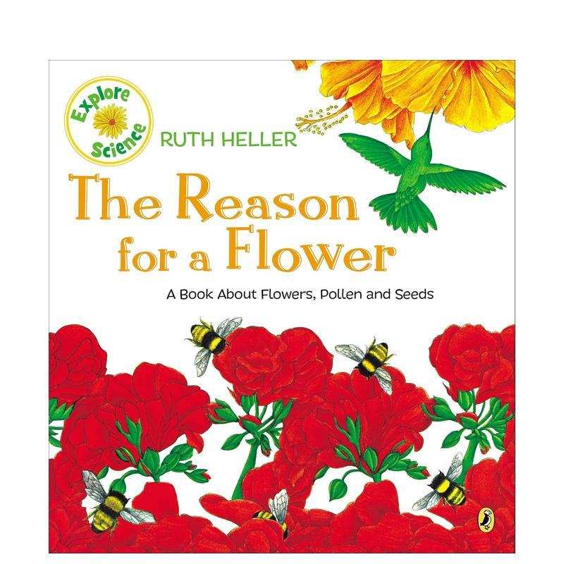 一朵花的原因 The Reas