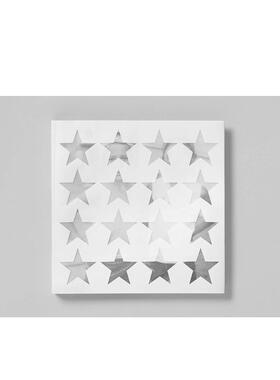 【现货】SUMMER AFTER，夏天过后 英文原版图书籍进口正版 Lucas Foglia 摄影-肖像