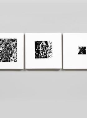 【预售】米歇尔·孔德：光 Michel Comte: Light 英文进口原版摄影作品集外文图书Michel Comte  Alessandro D'Angelo