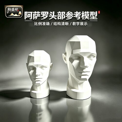 柏盛绘阿萨罗头部参考模型石膏像艺术教学展示架结构清晰比例准确